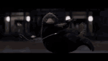 a duck is flying through the air in a dark room .