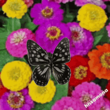 Spring Flowers GIF - Spring Flowers Happy GIFs