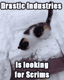 cat snow snow plowing scrim drastic industries