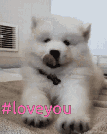 Love You Dog GIF - Love You Dog Roll Over GIFs
