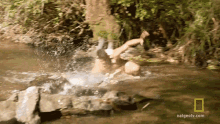 Fishing Bare Hands The Great Human Race GIF