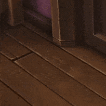 a brown and white cat with yellow eyes standing on a wooden floor