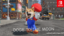 Doge Dogecoin GIF - Doge Dogecoin Dogecointothemoon GIFs