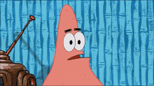 Patrick Star Sponge Bob Squarepants GIF - Patrick Star Sponge Bob Squarepants Brain GIFs
