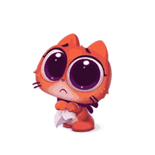 red cat cute kitty kitten begging eyes
