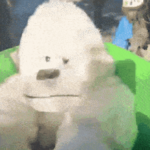 a painting of a white gorilla with a green shirt on