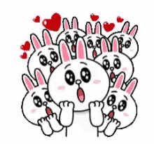 cony line cute rabbit love