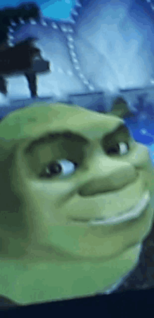 Shrek Funny 'WTF' Face Meme | Greeting Card