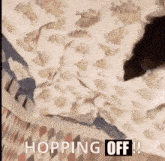 Pine Marten Hopping On GIF - Pine Marten Hopping On Hopping Off GIFs