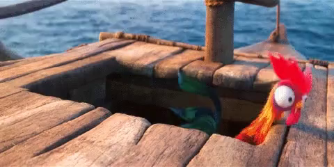 Moana Ckicken Gifs Tenor