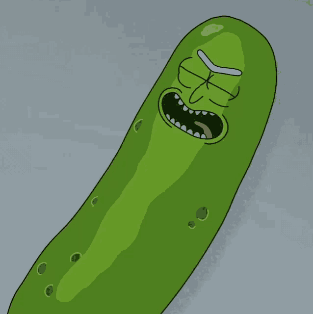 US Air Force flight in Mideast uses call sign ‘Pickle Rick’