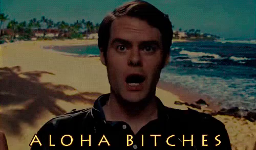 aloha gif forgettingsarahmarshall billhader brianbretter raw aloha gif forgettingsarahmarshall billhader brianbretter