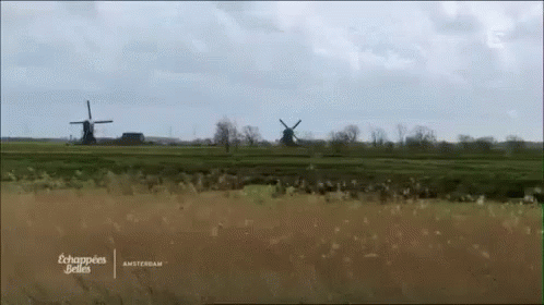 untitled.gif