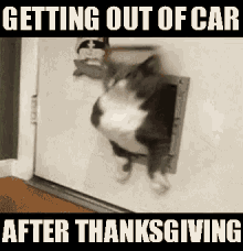 Image result for funny thanksgiving gif