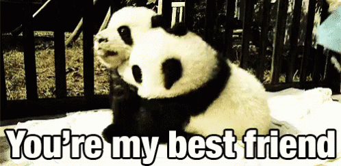 You're My Best Friend GIF - Panda Baby Hug - Discover ...