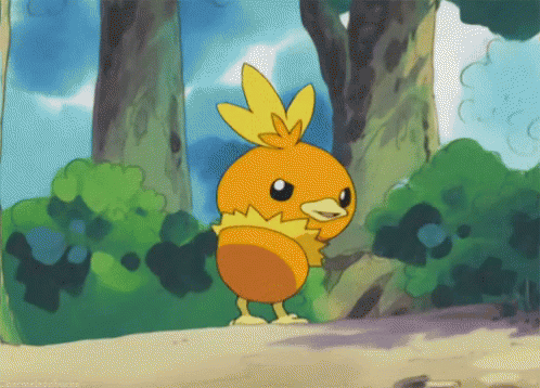 Image result for Torchic gif