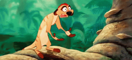 Image result for the lion king gifs timon
