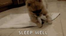 Blanket Snuggle GIFs | Tenor