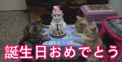 誕生日おめでとう Gif Jabirthday ハッピーバースデートゥーユー Discover Share Gifs