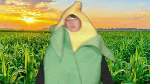Midwest corn