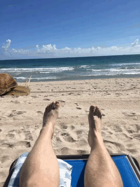 Fuck You Beach