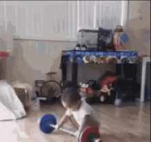 Funny Workout Gifs Tenor
