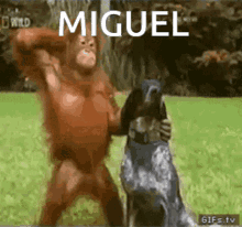 Monkey Fall Gifs Tenor Monkey Fall Gifs Tenor