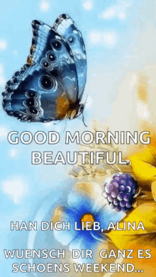 Good Morning Beautiful Butterfly GIF - GoodMorningBeautiful Butterfly Flowers GIFs