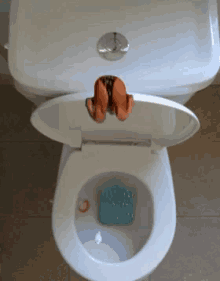 Image result for flush the toilet gif