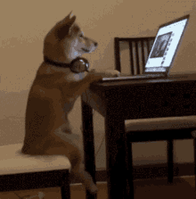 Dog On Computer GIFs | Tenor