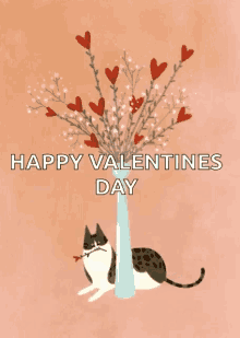 Featured image of post Happy Valentines Day Gif Cat