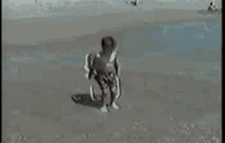 Moped Fail Gifs