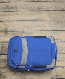 æ¸¸ GIF - Travel Luggage Pack GIFs