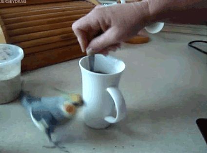 Coffee Tumblr Gif Coffee Tumblr Gif