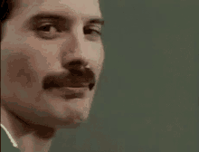 Freddie Mercury GIFs | Tenor
