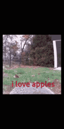 Apples Gifs Tenor