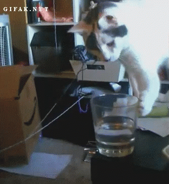 untitled.gif