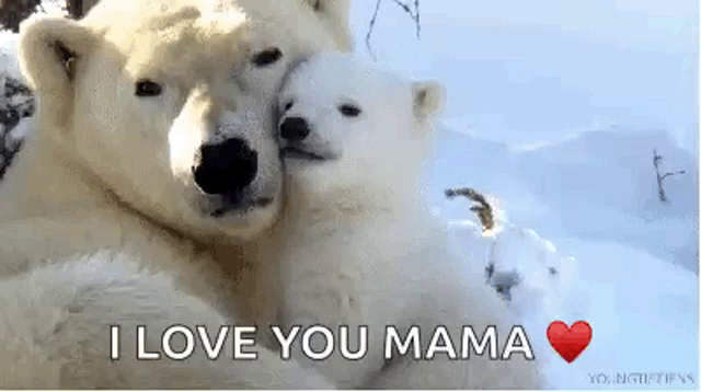 Love You Momma Gifs Tenor