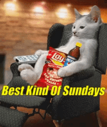 Best Kind Of Sundays Cat GIF - BestKindOfSundays Cat LazySundays GIFs