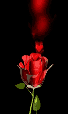 Red Roses Hearts GIF - RedRoses Hearts GIFs