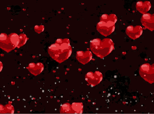 wild at heart gif wild at heart gif