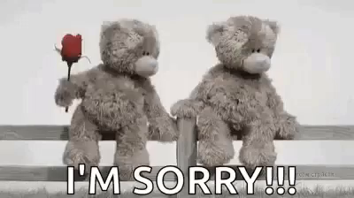 sorry for teddy bear
