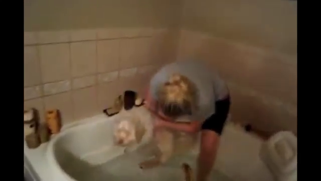 Keep Swimming Gif Dog Bath Tub, Bathtub For Tall Person Reddit