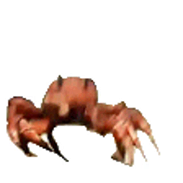 Crab Rave Emote Discord