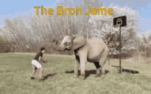 the bron jame meme