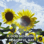 Good Morning Flowers GIF - GoodMorning Flowers Beautiful GIFs