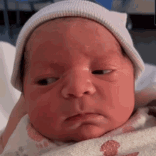 Wtf New GIF - Wtf New Born - Discover & Share GIFs