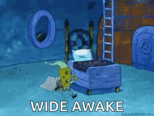 Featured image of post Wide Awake At Night Gif Being wide awake at 4 am regularly makes for rather dull afternoon posts