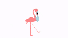 Roblox Happy Birthday Flamingo