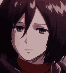 Mikasa GIFs | Tenor